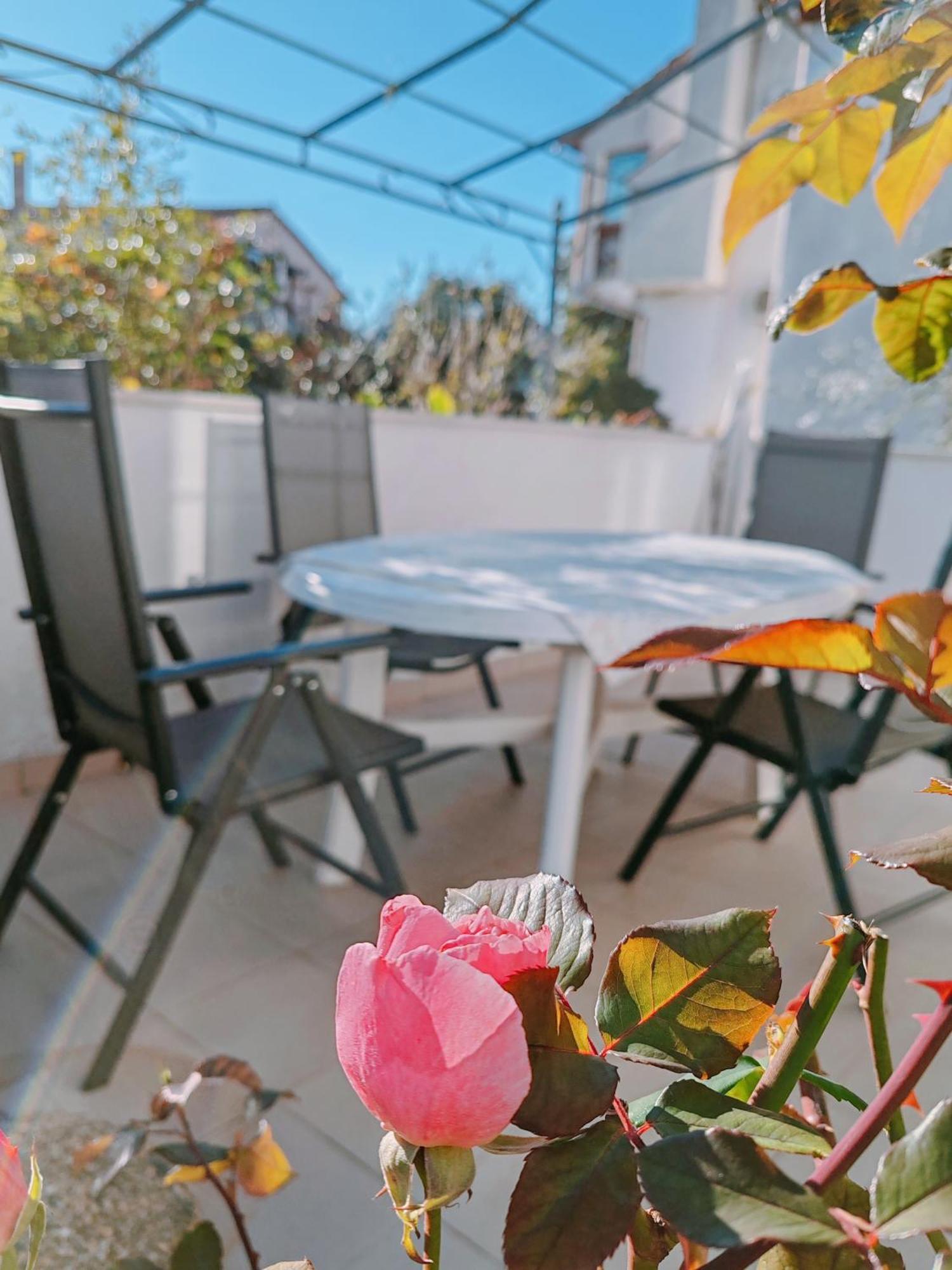 Marko Apartment Rovinj Eksteriør bilde